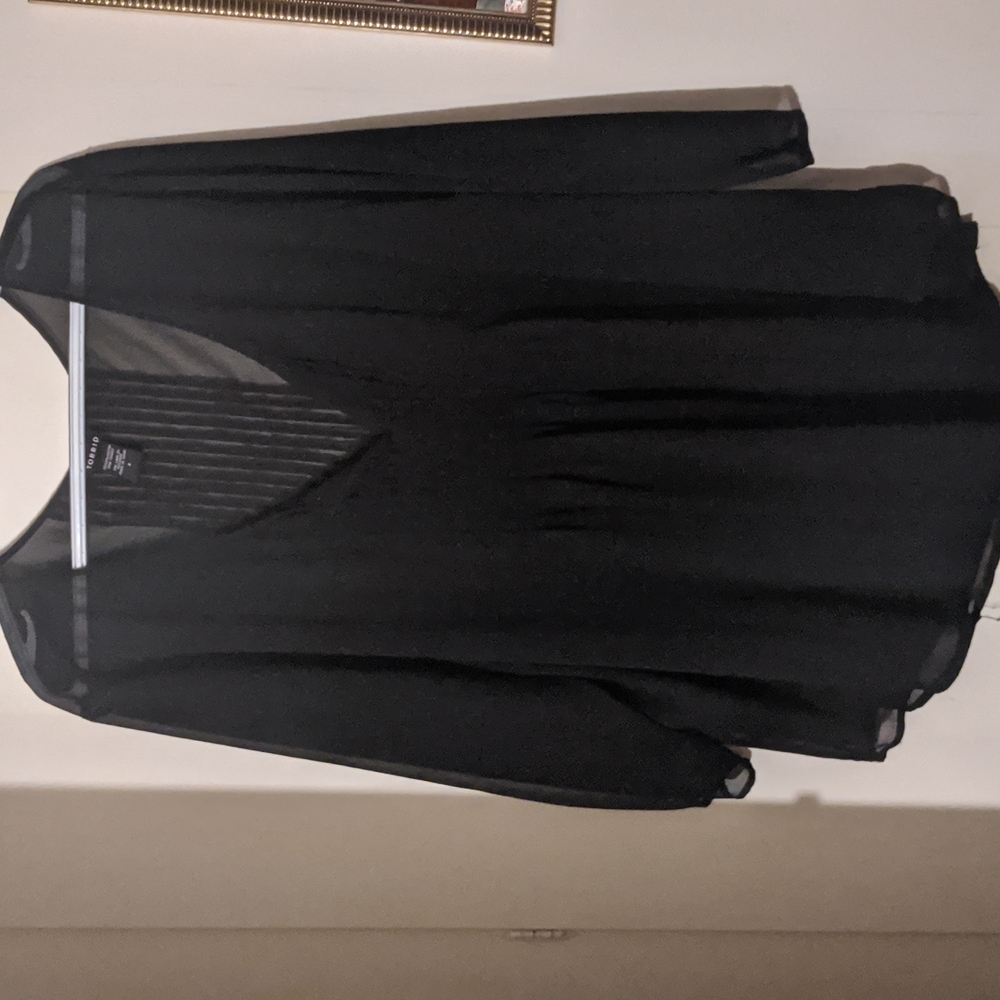 Long sleeve sheer top
